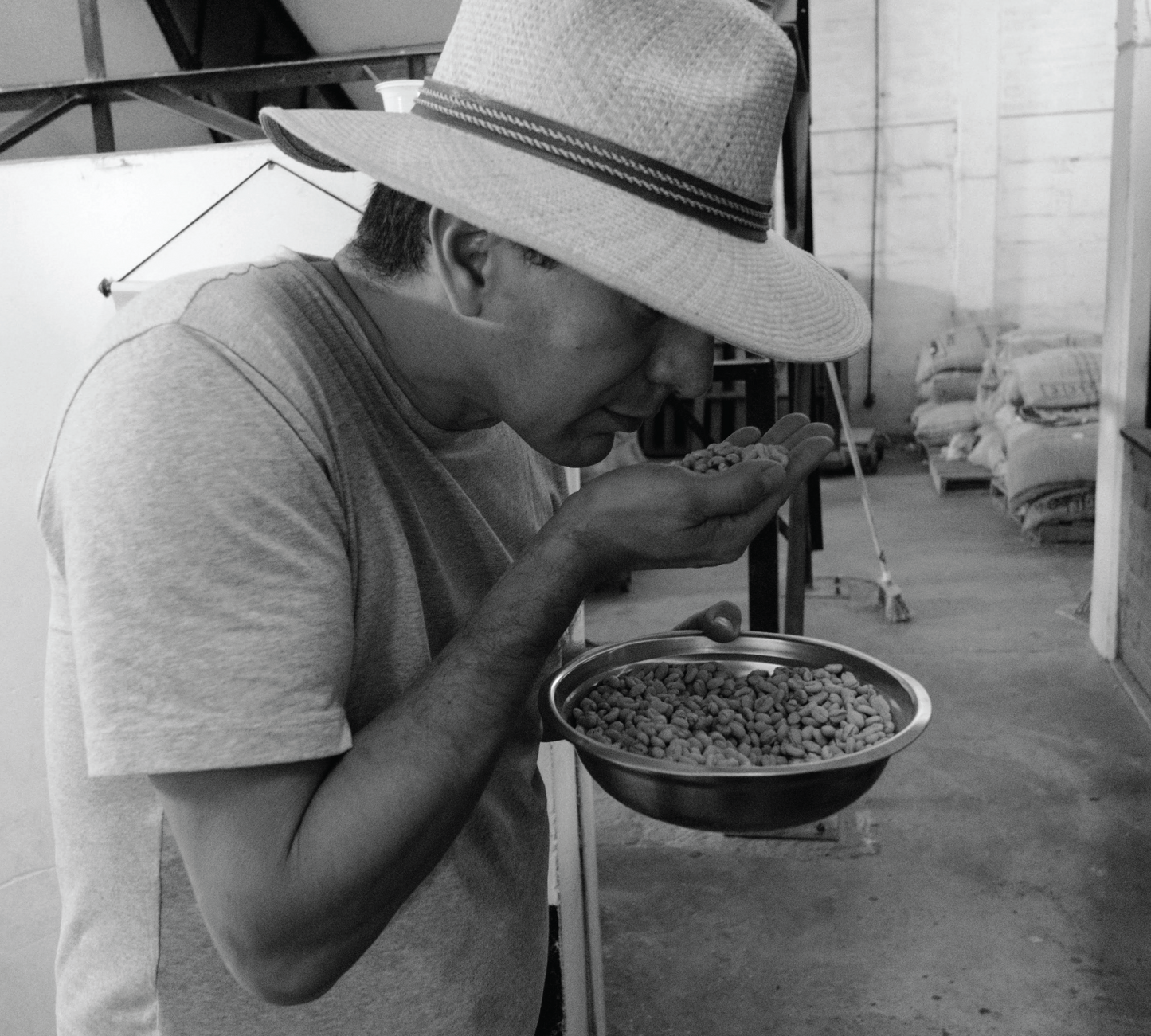 Coffee from Finca Tierra Alta, Palmar – Colombia -mid high roast coffee